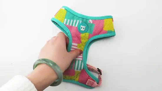 Factory Direct Sale Customize Adjustable Dog Harness Pet Accessories